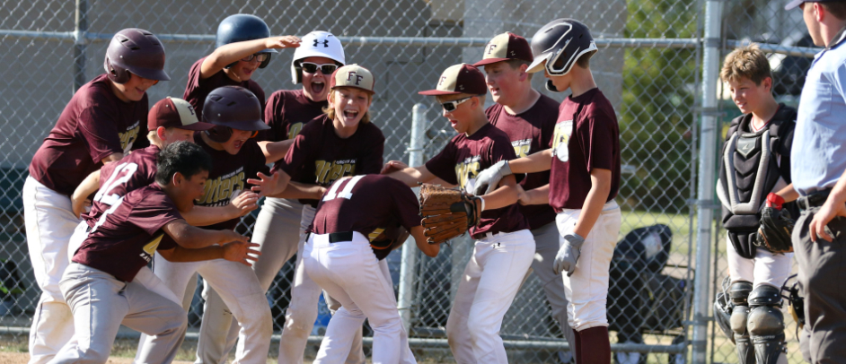 Fergus Falls Youth Baseball...Celebrate Baseball